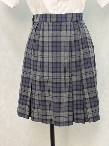 �_�ސ쌧 ��q�����w�Z �X�J�[�g 1�_