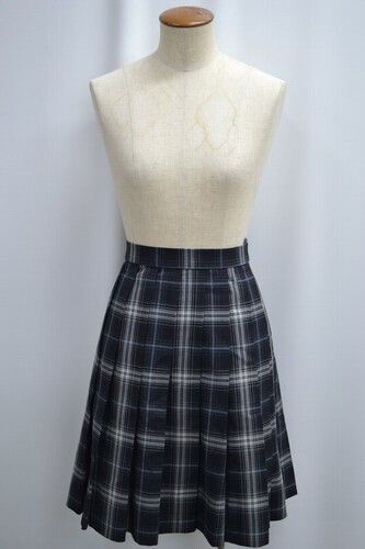  �Z�����s ���{�H�Ƒ�w��ꍂ���w�Z �~�X�J�[�g ����6152