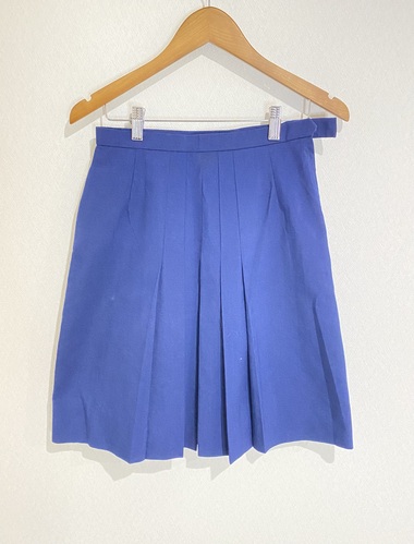  ���{  �l�V���������w�Z   ���ėp�X�J�[�g   