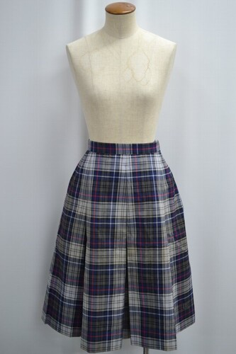  �Z��ʌ� �Y�a�w�@�����w�Z �ăX�J�[�g ����6135