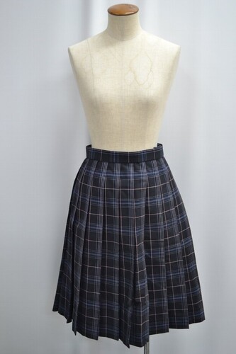  �Z��t���� ���q���ƍ����w�Z �ăX�J�[�g ����6153