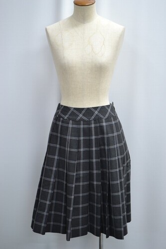  �Z�����s ���w�����w�Z �����w�Z �ăX�J�[�g ����6154