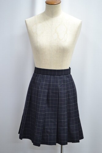  �Z��size W75 �_�ސ쌧�� ���ˏ��ƍ����w�Z �~�X�J�[�g ����6155