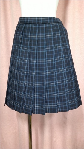 �_�ސ쌧 No.108  �g�c�������w�Z �傫��size �}�[�N����`�F�b�N�X�J�[�g �~����