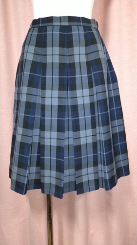 [�s��] No.110 �`�F�b�N�X�J�[�g �s���~����