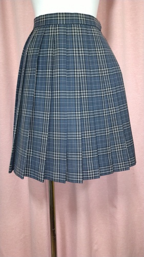 [�s��] ���C��w����   �`�F�b�N�~�j�X�J�[�g �s���~����