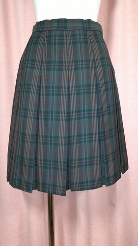 [�s��] No.113  �`�F�b�N�~�j�X�J�[�g �s���~����