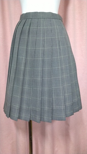 [�s��] No.114  �`�F�b�N�X�J�[�g �s���~����