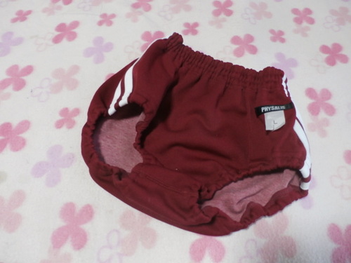 [�s��] ���@PHYSALIS�@�@�G���W�u���}�@�����C���@L�T�C�Y�@��