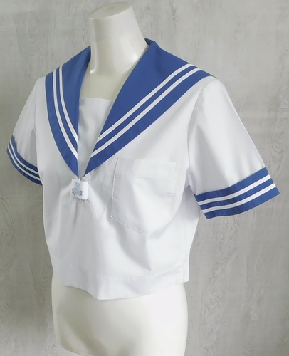  ���F�{���y�P�i�z�F�{�s���O�c���w �ĕ���