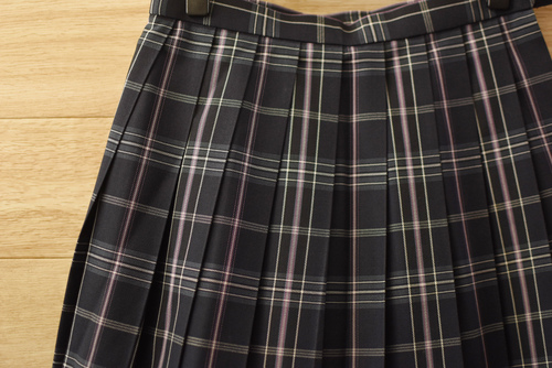  c�����q�w������ �l�C�`�F�b�N�� �~�X�J�[�gW66L55�����E�O���[�E�s���N �s��