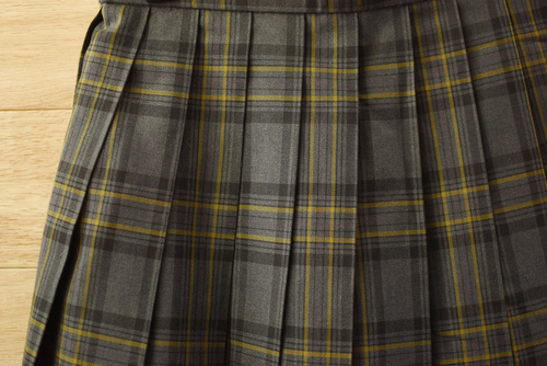  c���ǍD�������s���������������w�Z �l�C�`�F�b�N�� �~�X�J�[�g���O���[�E���E��