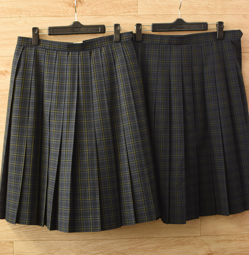  c����錧�y�Y�s����ܒ��w ���� ����̉ē~�X�J�[�g�E���q�W���[�W�E�̑����p���c ���_���X�E�F�A�Ȃǁ���