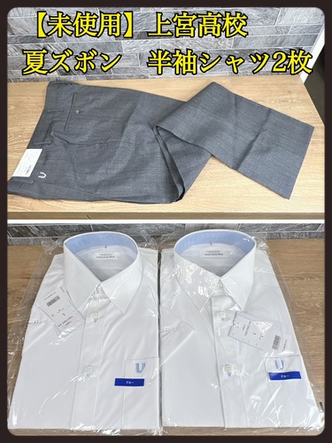 ���{ �y���g�p�z������{���Z�@�S�Ċw�Z�w��i�@�ăY�{��79��74�@�����V���c�@2���@L�T�C�Y