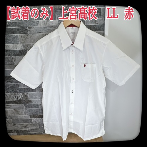 ���{ �y�قڐV�i�z������{�����w�Z�@�����V���c�@LL�T�C�Y�@�Ԏh�J�@�j�q