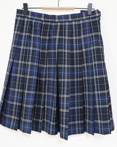 �����s ���� ���~�w�����Z ���� �~�� �`�F�b�N�X�J�[�g �E�G�X�g�V�R �ɐ��O��