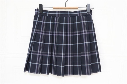 ��ʌ� ���� �V���������Z ���q ���� �ĕ� �}�C�N���~�j �`�F�b�N�X�J�[�g