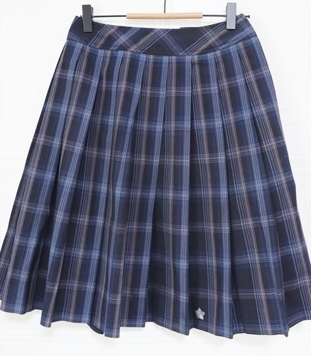 ��ʌ� ���� �H���w�����Z ���q ���� �ĕ��`�F�b�N�X�J�[�g