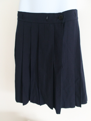 �����s ���S���w�����w�Z�E�����w�Z�@�w��X�J�[�g�@�t�����V�X�R�@��50% �|���G�X�e��50%