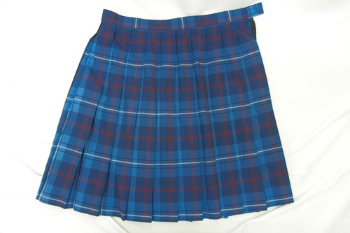  6863k ������T�C�Y�� ������ ���� �{�{���Z �ĕ� �v���[�c�X�J�[�g �T�C�YW80 ���q����