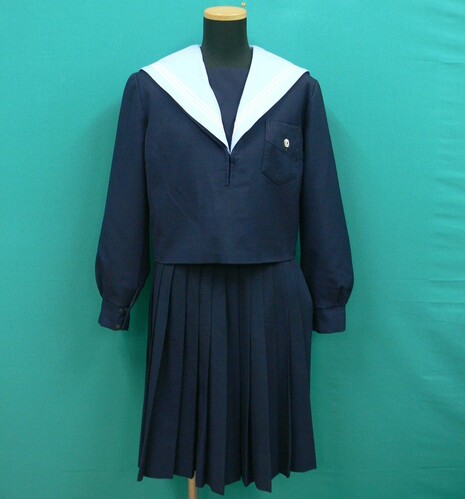 ���{ #1542�@���F�G���J�o�[��3�{���C���̓~�Z�[���[�@�T�C�Y3