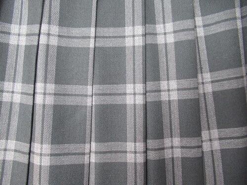 �L���� 8589�@510�@���Îs���Z �~�X�J�[�g �O���[�{�� �`�F�b�N��