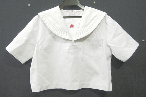  6888k ���茧 ���� �呺���Z �ĕ� ���� �w��Z�[���[�� �T�C�Y5(LL����) �C�V�C�� ���q����