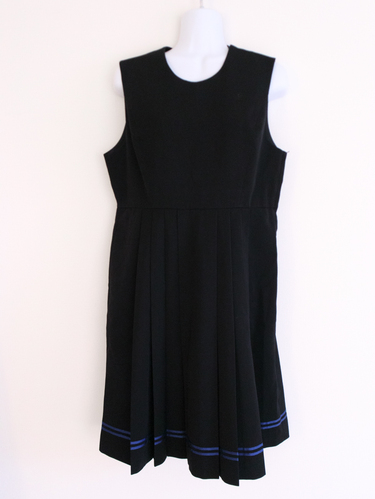 �����s ���쏗�q�w�����w�����w�Z�@�~�p�W�����p�[�X�J�[�g�@L-58