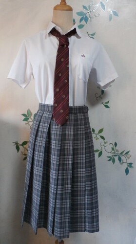  �Z�@���Ɍ��@�@���Ɍ������Ώ鐼���Z�@�@�傫�ځ@�����@9�_�Z�b�g�@�Z