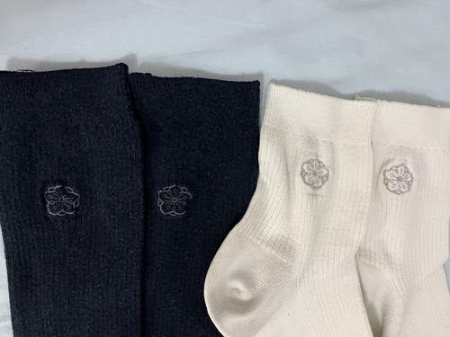 �����s ����w�����q(���ݕi���ĉh)�����w�Z�@�w��\�b�N�X�@�C���@���ƍ���2��