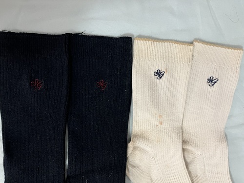 ���Ɍ� �g��w�@�����w�Z�@���q�\�b�N�X�@�C���@���ƍ���2��