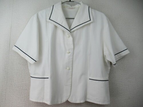 [�s��] 8673�@210�@�傫�ȃT�C�Y�I�Đ����㒅 Predichant