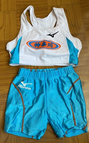 �_�ސ쌧 �_�ސ쌧 �֓����w�藤�テ�j�t�H�[��