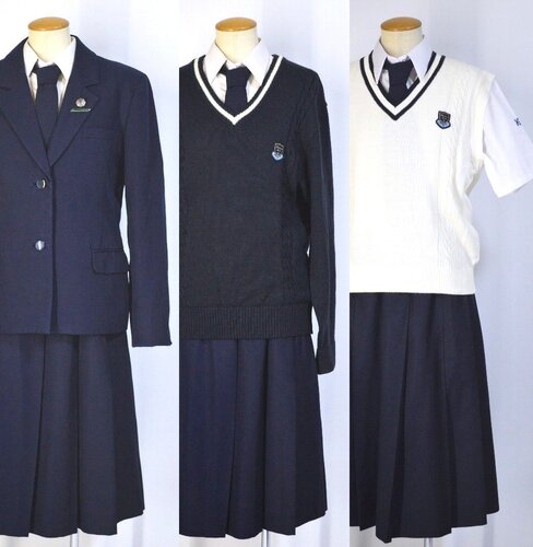  ����ʌ� ���썂���w�Z ���q�� �u���U�[�~�ĕ� �l�N�^�C �Z�́�T5785