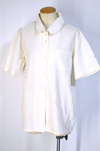  ���傫�� �����s ���{��w��񒆊w�Z �����u���E�X��T5792