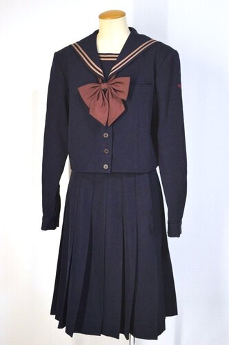  ����ʌ� �����z�������w�Z �Z�[���[�~�� ���{�� �O�J�� �A�L���I�m�d�J��T5773