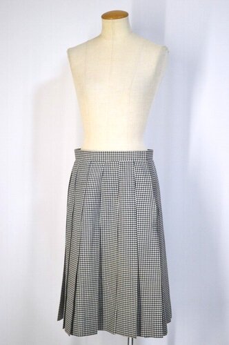  ����ʌ� �����z�������w�Z �ăX�J�[�g��T5774