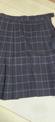 �����s ����߃P�u���Z�̃`�F�b�N�X�J�[�g�I�I