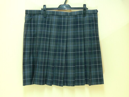 ���{ ��991����������T�C�Y�I���z���Z�@�`�F�b�N���@�i�q���@�v���[�c�X�J�[�g