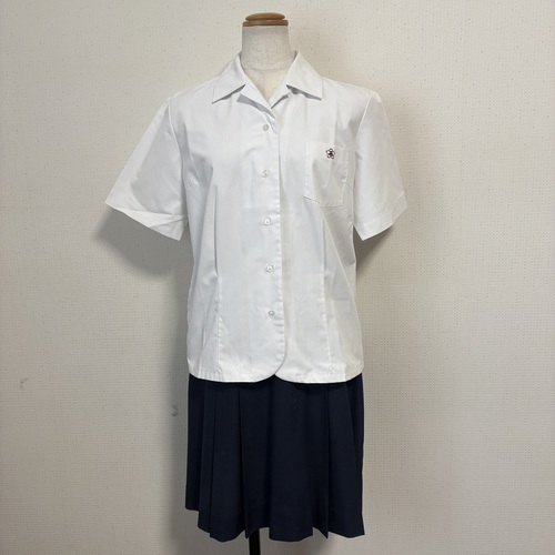 ���m�� �ySE2642�z�@�t���䐼���Z�@�u���E�X�X�J�[�g�Z�b�g�@�T�C�YL  W72��57�@