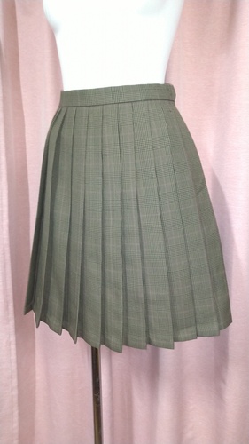 [�s��] No.116  �`�F�b�N�~�j�X�J�[�g �s���~����