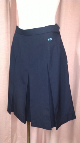 ��ʌ� No.120  �z�J�k�����w�Z �傫��size �}�[�N���� �X�J�[�g �s���~����