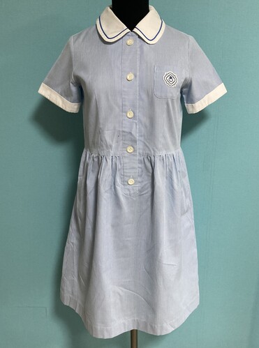 ���{ 2-84�����M���w�@���w�Z�����F�X�g���C�v�̃T�}�[�����s�[�X�@