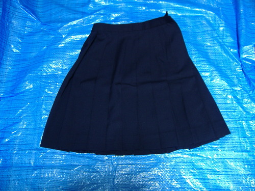  �s���Z�@�~�p�H�X�J�[�g�@���F�@�A�L���I�m�d�J