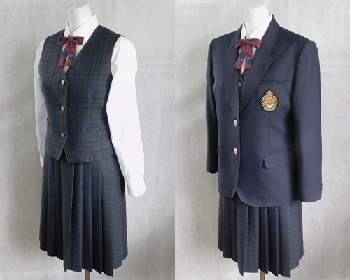  ���F�{�� �F�{�s�����䒆�w �~������