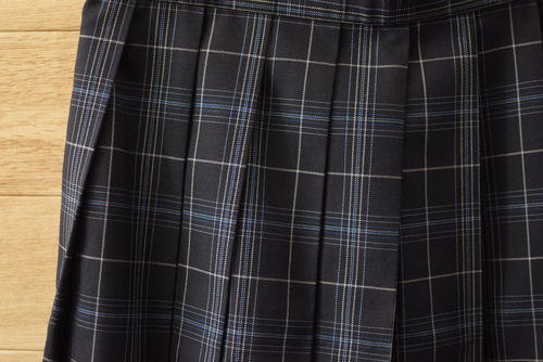  a���ǍD �M�K�T�C�YW81L51�������s���~���������w�Z �l�C�`�F�b�N�� �~�X�J�[�g�����Ȃ�