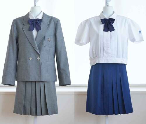  �����{ �l�V�������Z ���g�b�v���q�Z [�������Z�b�g �T�C�Y170A] �~���ĕ� �X�J�[�g���n�t��