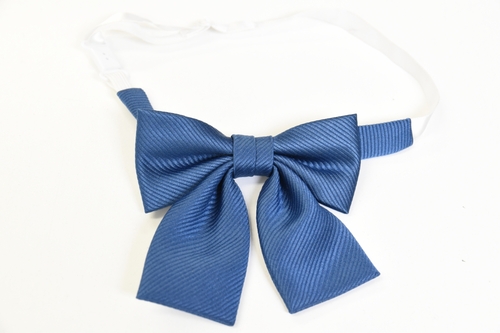 �_�ސ쌧 �����V�h���Z �y������ ���{���z/3797SE