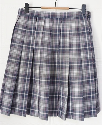 �����s ���� ���~�w�����Z ���� �ĕ� �`�F�b�N�X�J�[�g �E�G�X�g�V�R �ɐ��O��