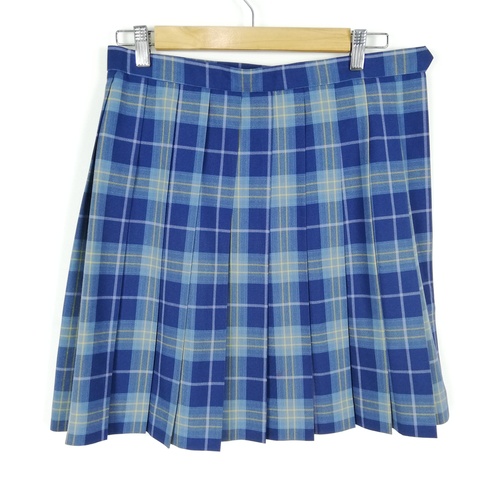 �����s �i��G�g���[�����q���Z�@�傫���T�C�Y�@�`�F�b�N�X�J�[�g�@�E���F�n�@�ĕ��@UU8356